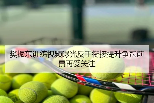 樊振东训练视频曝光反手衔接提升争冠前景再受关注